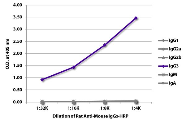 Abbildung: Ratte IgG anti-Maus IgG3 (Fc)-HRPO, MinX keine