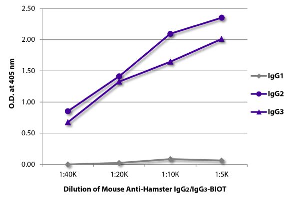 Abbildung: Maus IgG anti-Hamster armenisch IgG2 (Fc),IgG3 (Fc)-Biotin, MinX keine