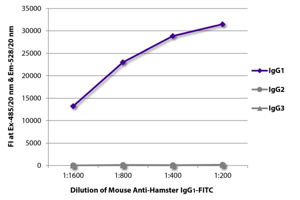Abbildung: Maus IgG anti-Hamster armenisch IgG1 (Fc)-FITC, MinX keine