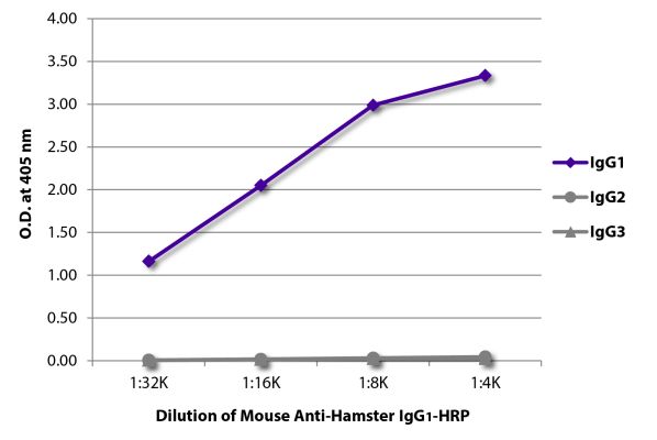 Abbildung: Maus IgG anti-Hamster armenisch IgG1 (Fc)-HRPO, MinX keine