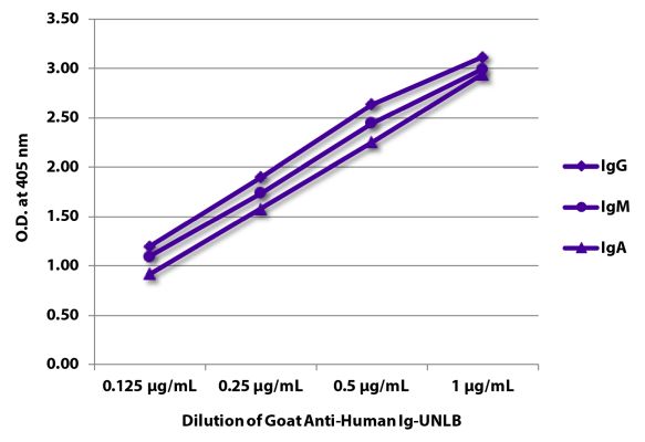 Image: Goat IgG anti-Human IgG+IgM+IgA (H+L)-unconj., MinX none