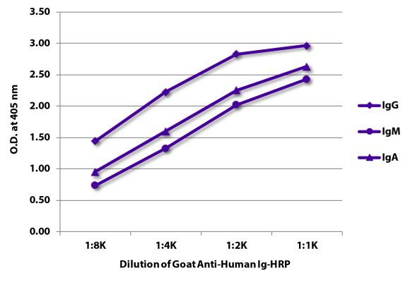 Abbildung: Ziege IgG anti-Human IgG+IgM+IgA (H+L)-HRPO, MinX keine
