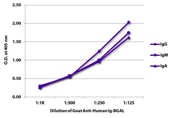 Abbildung: Ziege IgG anti-Human IgG+IgM+IgA (H+L)-BGAL, MinX keine