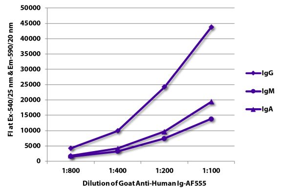 Abbildung: Ziege IgG anti-Human IgG+IgM+IgA (H+L)-Alexa Fluor 555, MinX keine