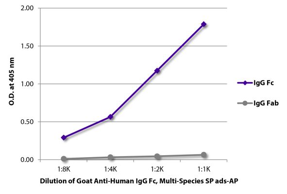 Abbildung: Ziege IgG anti-Human IgG (Fc)-Alk. Phos., MinX Rb,Ms,Rt,Bo,Ho,Ha,Go,Sh,Ck,Gp