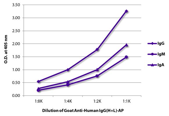 Abbildung: Ziege IgG anti-Human IgG (H+L)-Alk. Phos., MinX keine