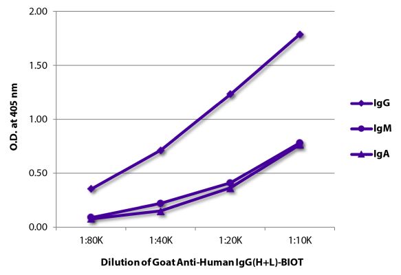 Abbildung: Ziege IgG anti-Human IgG (H+L)-Biotin, MinX keine