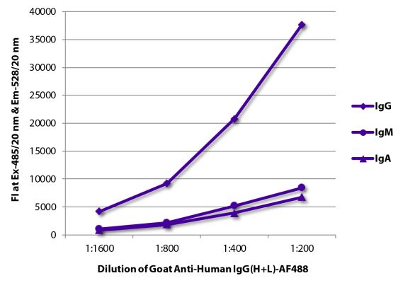 Abbildung: Ziege IgG anti-Human IgG (H+L)-Alexa Fluor 488, MinX keine