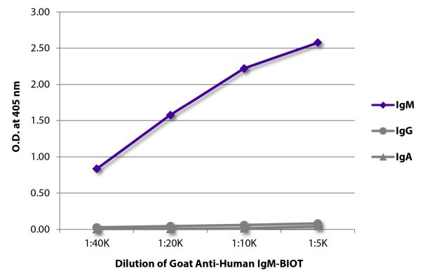 Image: Goat IgG anti-Human IgM (µ)-Biotin, MinX none