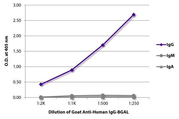 Abbildung: Ziege IgG anti-Human IgG (Fc)-BGAL, MinX keine