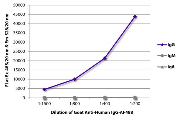 Abbildung: Ziege IgG anti-Human IgG (Fc)-Alexa Fluor 488, MinX keine