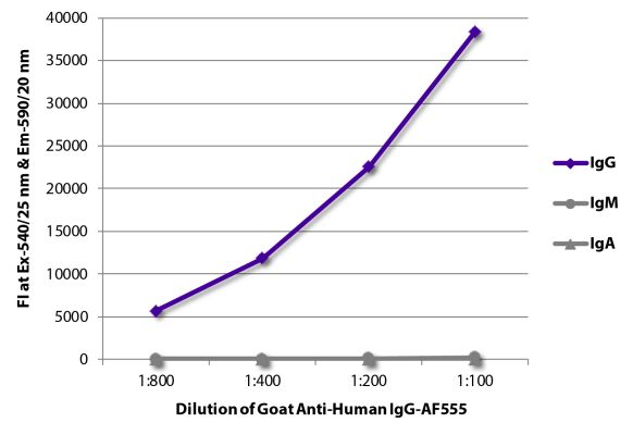 Abbildung: Ziege IgG anti-Human IgG (Fc)-Alexa Fluor 555, MinX keine