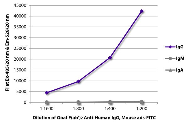 Abbildung: Ziege F(ab')2 anti-Human IgG (Fc)-FITC, MinX Ms