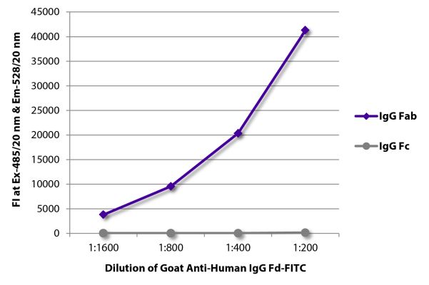 Abbildung: Ziege IgG anti-Human IgG (Fd)-FITC, MinX keine