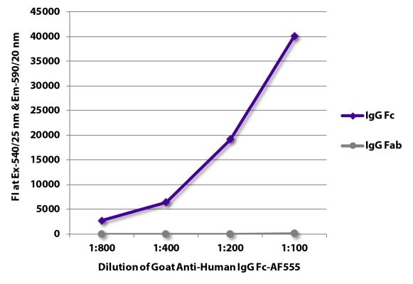 Abbildung: Ziege IgG anti-Human IgG (Fc)-Alexa Fluor 555, MinX keine