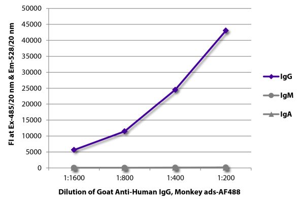 Abbildung: Ziege IgG anti-Human IgG (Fc)-Alexa Fluor 488, MinX Mo