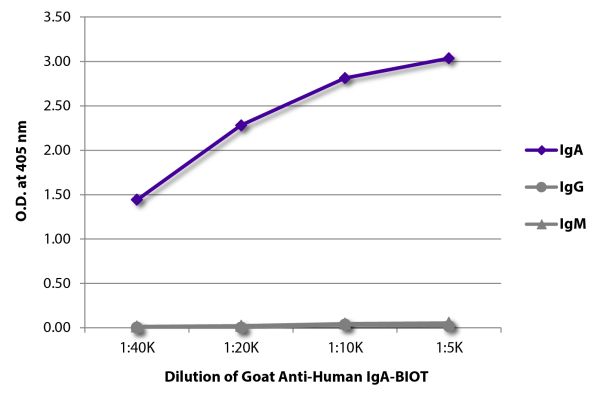 Abbildung: Ziege IgG anti-Human IgA-Biotin, MinX keine