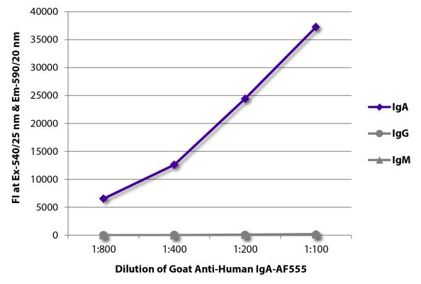 Abbildung: Ziege IgG anti-Human IgA-Alexa Fluor 555, MinX keine