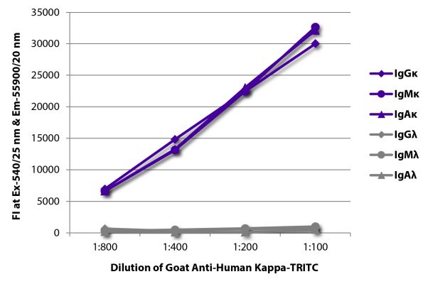 Abbildung: Ziege IgG anti-Human Kappa (leichte Kette)-TRITC, MinX keine