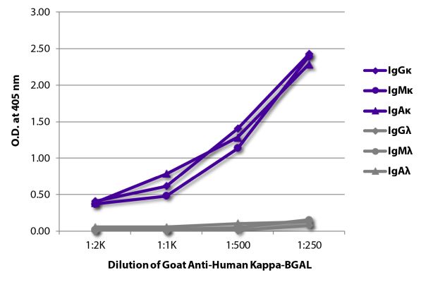 Abbildung: Ziege IgG anti-Human Kappa (leichte Kette)-BGAL, MinX keine