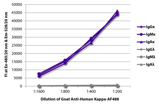 Abbildung: Ziege IgG anti-Human Kappa (leichte Kette)-Alexa Fluor 488, MinX keine