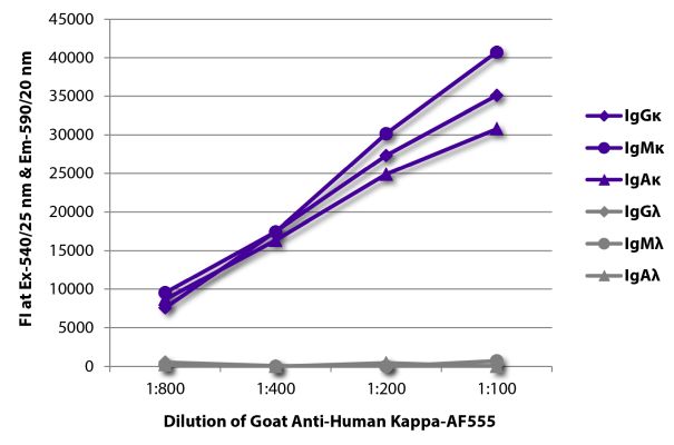 Abbildung: Ziege IgG anti-Human Kappa (leichte Kette)-Alexa Fluor 555, MinX keine