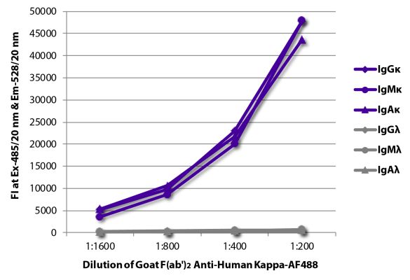 Abbildung: Ziege F(ab')2 anti-Human Kappa (leichte Kette)-Alexa Fluor 488, MinX keine