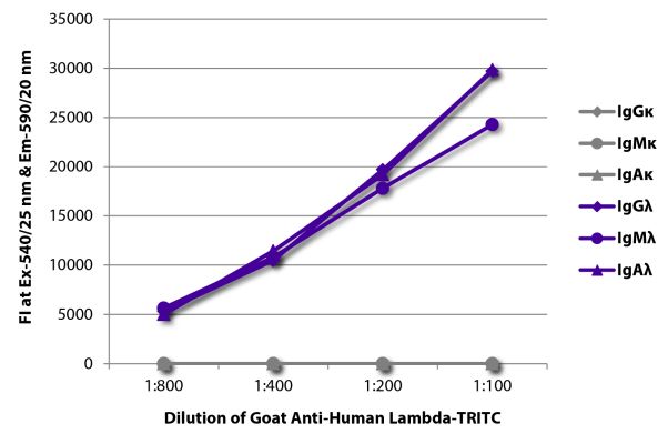 Abbildung: Ziege IgG anti-Human Lambda (leichte Kette)-TRITC, MinX keine