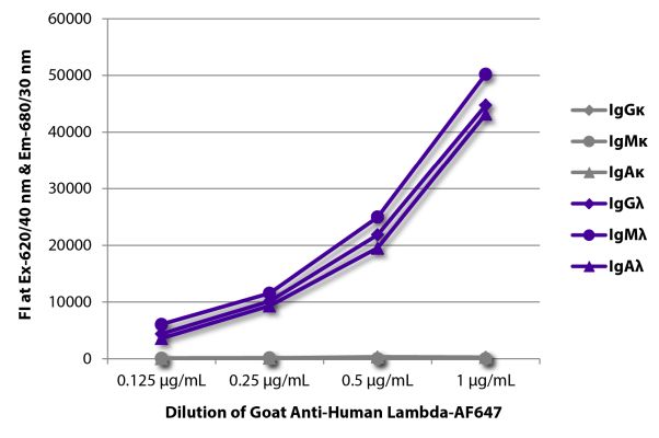 Abbildung: Ziege IgG anti-Human Lambda (leichte Kette)-Alexa Fluor 647, MinX keine