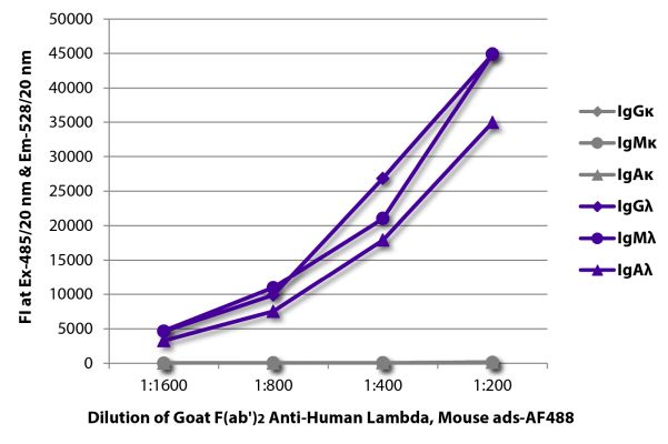 Abbildung: Ziege F(ab')2 anti-Human Lambda (leichte Kette)-Alexa Fluor 488, MinX Ms