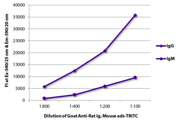Abbildung: Ziege IgG anti-Ratte IgG+IgM (H+L)-TRITC, MinX Ms