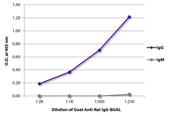 Abbildung: Ziege IgG anti-Ratte IgG (Fc)-BGAL, MinX keine