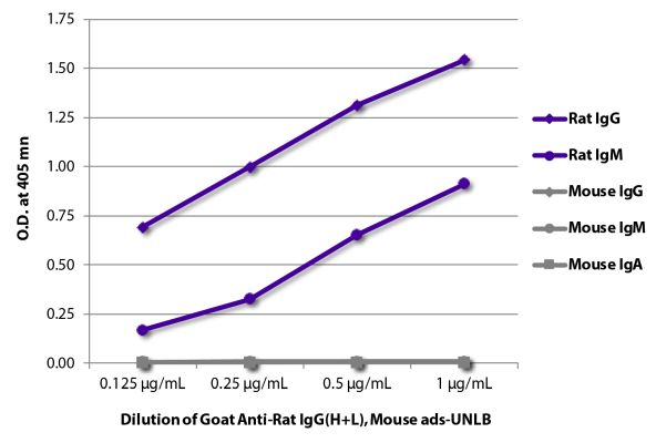 Abbildung: Ziege IgG anti-Ratte IgG (H+L)-unkonj., MinX Ms