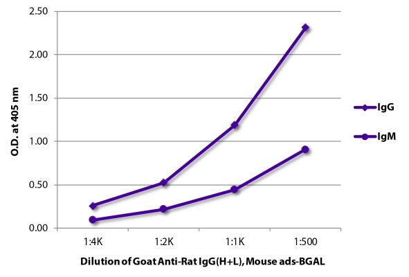 Abbildung: Ziege IgG anti-Ratte IgG (H+L)-BGAL, MinX Ms