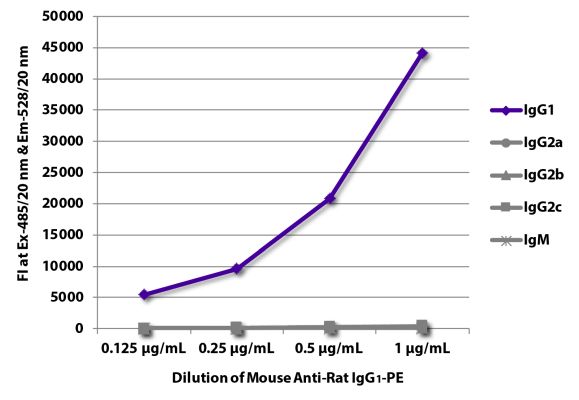 Abbildung: Maus IgG anti-Ratte IgG1 (Fc)-RPE, MinX keine