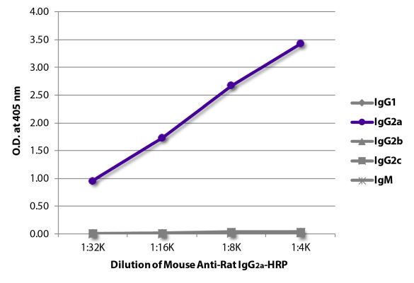Abbildung: Maus IgG anti-Ratte IgG2a (Fc)-HRPO, MinX keine