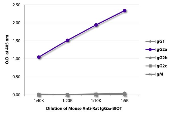 Abbildung: Maus IgG anti-Ratte IgG2a (Fc)-Biotin, MinX keine