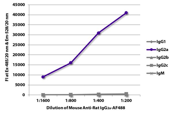 Abbildung: Maus IgG anti-Ratte IgG2a (Fc)-Alexa Fluor 488, MinX keine