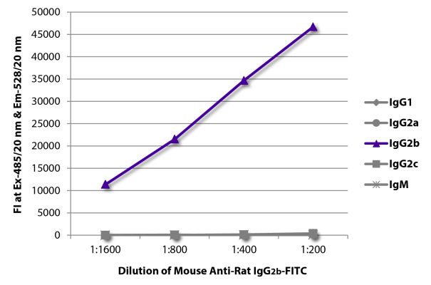 Abbildung: Maus IgG anti-Ratte IgG2b (Fc)-FITC, MinX keine