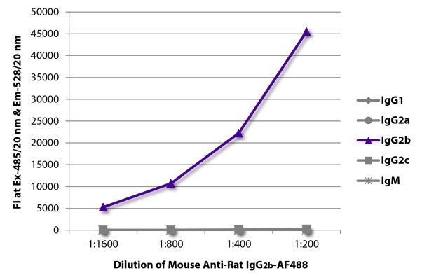 Abbildung: Maus IgG anti-Ratte IgG2b (Fc)-Alexa Fluor 488, MinX keine
