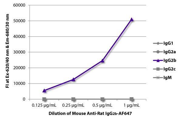 Abbildung: Maus IgG anti-Ratte IgG2b (Fc)-Alexa Fluor 647, MinX keine