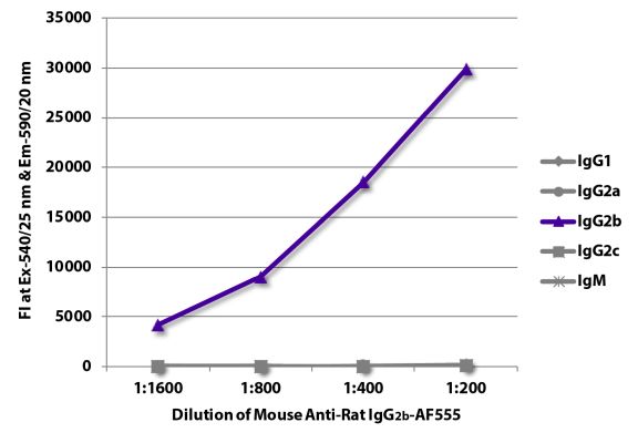 Abbildung: Maus IgG anti-Ratte IgG2b (Fc)-Alexa Fluor 555, MinX keine