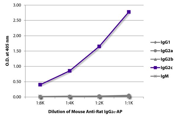 Abbildung: Maus IgG anti-Ratte IgG2c (Fc)-Alk. Phos., MinX keine