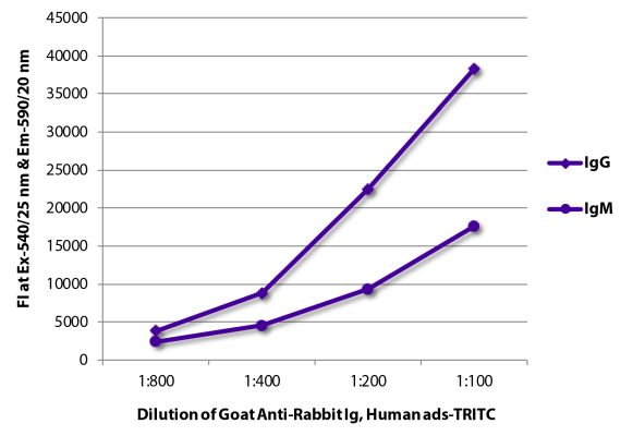 Abbildung: Ziege IgG anti-Kaninchen IgG+IgM+IgA (H+L)-TRITC, MinX Hu