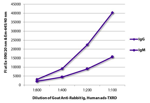 Abbildung: Ziege IgG anti-Kaninchen IgG+IgM+IgA (H+L)-Texas Red, MinX Hu