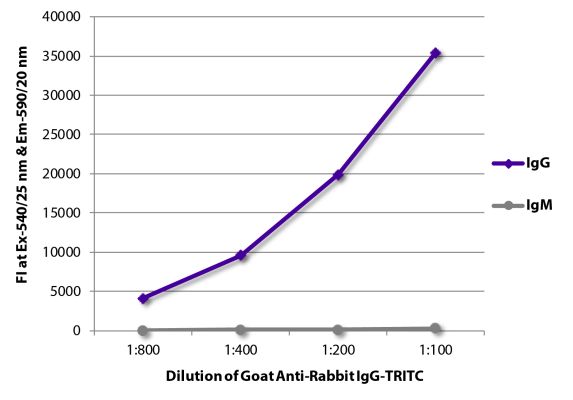 Image: Goat IgG anti-Rabbit IgG (Fc)-TRITC, MinX none