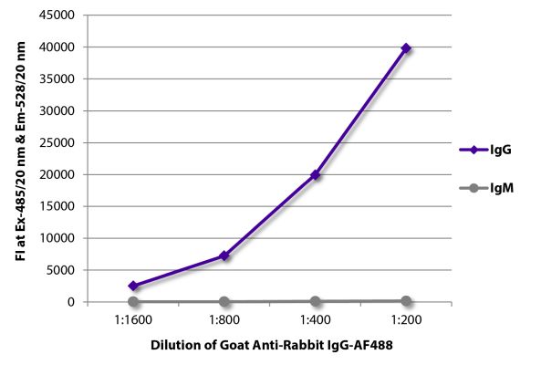 Abbildung: Ziege IgG anti-Kaninchen IgG (Fc)-Alexa Fluor 488, MinX keine
