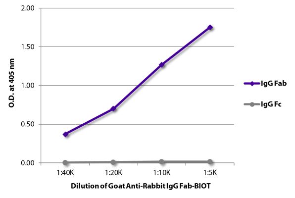 Abbildung: Ziege IgG anti-Kaninchen IgG (F(ab')2)-Biotin, MinX keine