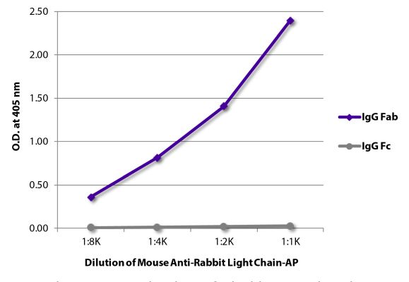 Abbildung: Maus IgG anti-Kaninchen Kappa/Lambda-Alk. Phos., MinX keine