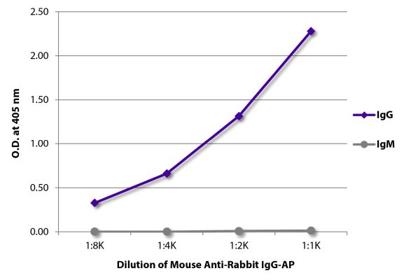 Abbildung: Maus IgG anti-Kaninchen IgG (Fc)-Alk. Phos., MinX keine